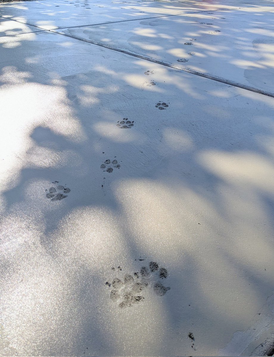 Everything I build is always almost immediately destroyed.