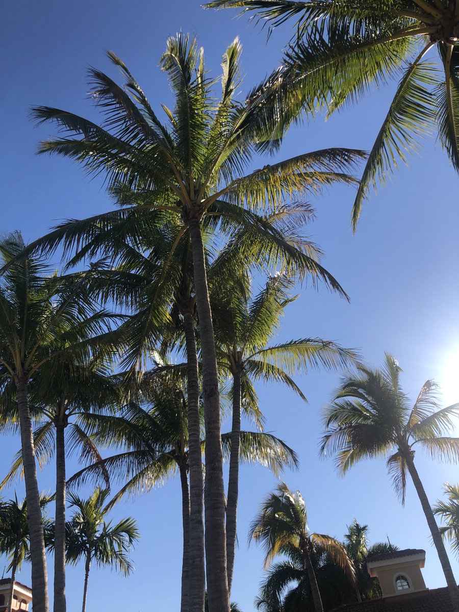 Sometimes we need to C that difference from Our window 2 keep the future in our sights and not be fogged &amp; overwhelmed by the present’s persistent pressure. I’m blessed to see it, just in case U momentarily didn’t glance its way.  It comes to find you. Stay Positive, #hope #help