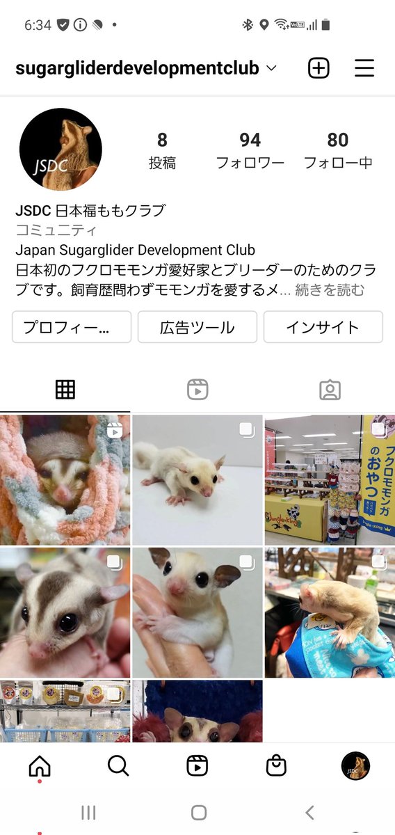 torazoukun99's tweet photo. フクロモモンガを少しでも広く
知って頂く為に開設したInstagramのアカウント💕
#JSDC
ジャパン・シュガーグライダー
デベロップメント・クラブ

世界にフクロモモンガの輪を広げたい🍀
そんな思いから参加させて頂く事に‼️

共有アカウントなので、何方でも
投稿、お家の子自慢が出来ます。 https://t.co/vXZr633k5r