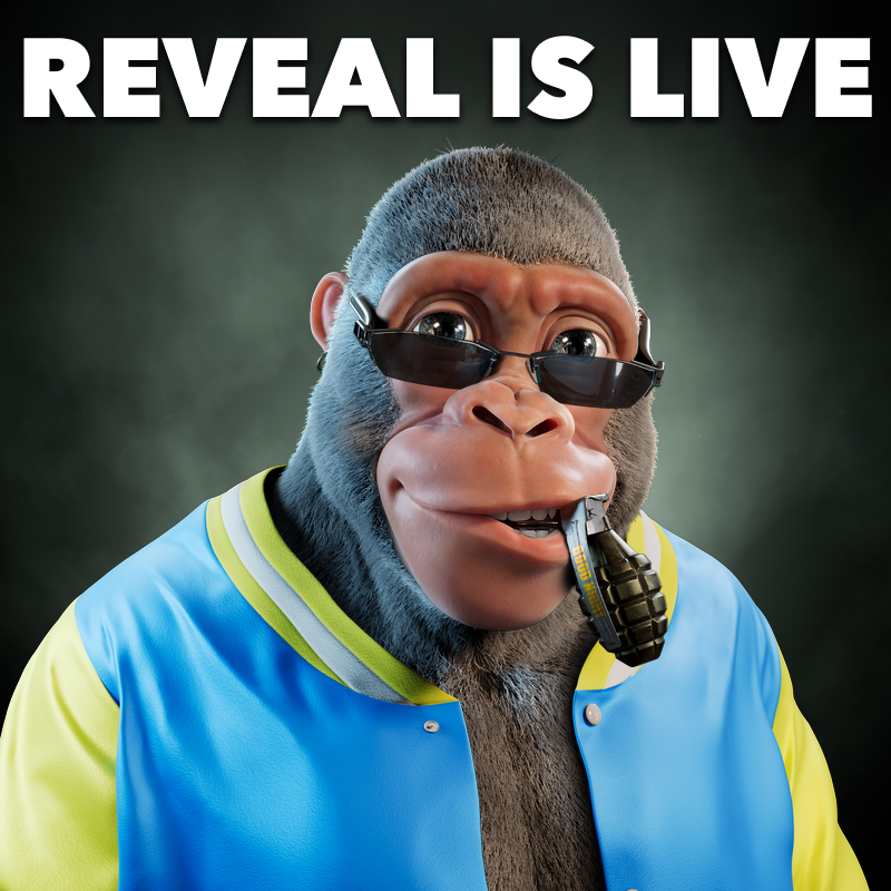 AlphaKongsClub's tweet photo. THE REVEAL IS LIVE! 💎

Even if you’ve rolled a common Alpha Kong, don’t worry - our vision is to reward EVERY holder no matter the rarity. And you’ll find he’s quite the handsome fella no matter his rank. 

Go to OpenSea &amp; give a warm welcome to you Alpha Kong(s)! ❤️ https://t.co/OUJN8dJowm