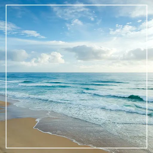 “If we keep on destroying marine life, there won’t be any left. If the oceans die, we all die. It’s as simple as that.” - Mattie Stepanek.

Remember, we can do much better when we work together. We can save our oceans - and ourselves. 🙌 🌊