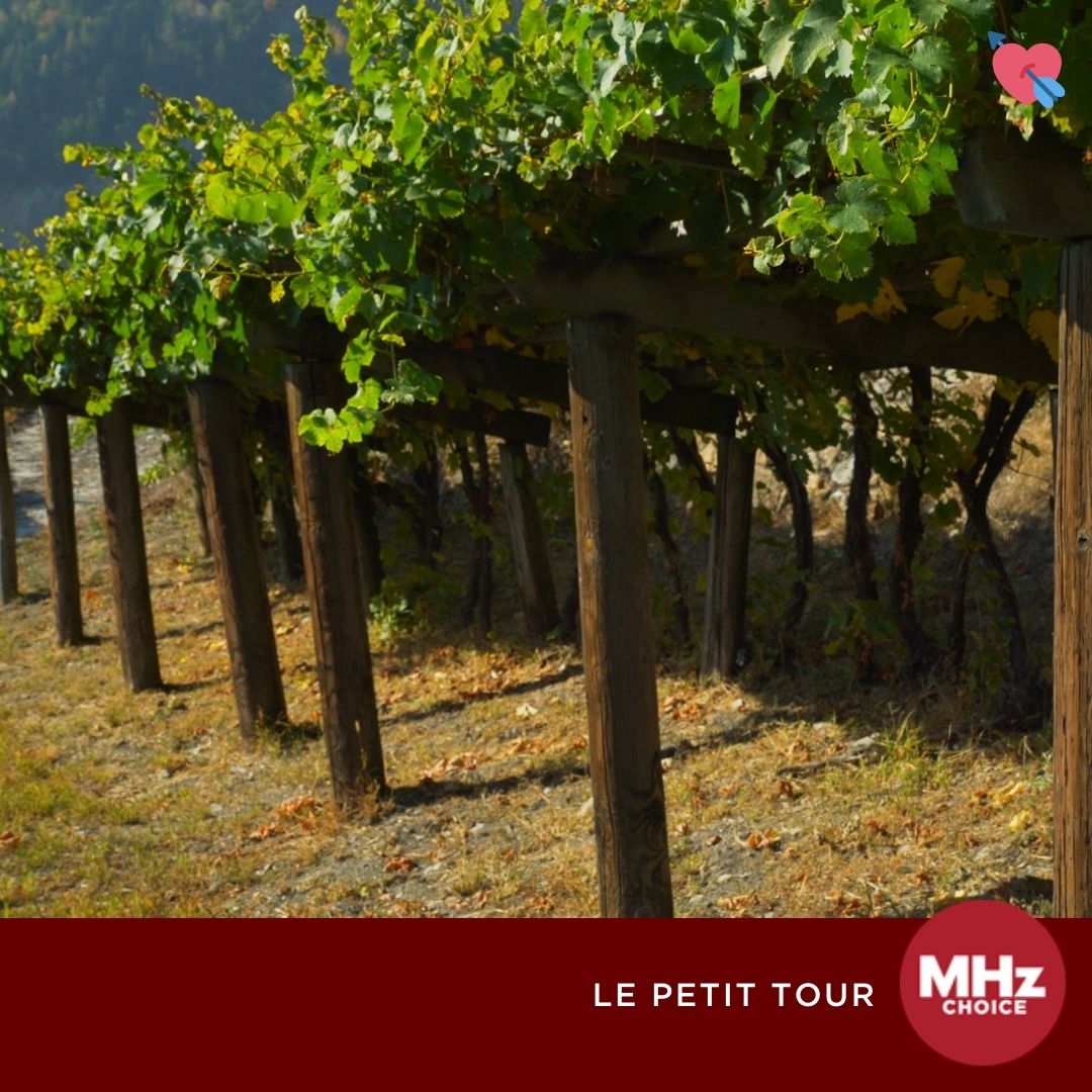 MHzChoice's tweet photo. A look at some romantic locations featured in our less murder-y shows. Happy Valentine's Day weekend!
#valentinesday #valentinesdayweekend #Paris1900 #CityofLights #mhzchoice #ANightinFlorence #LePetitTour #timelesslouvre https://t.co/eql9CEVTBm