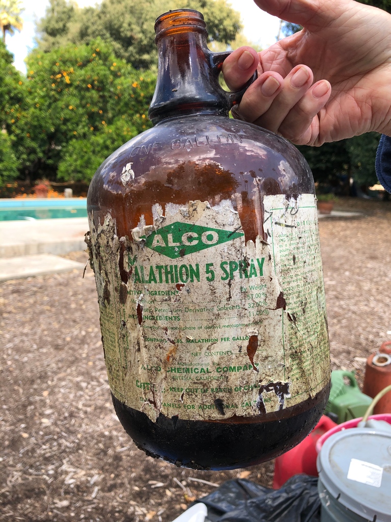 Half the fun when representing historic properties is what you come across when getting the property ready. 
#historichome #historicalplace #historicplaces
#oldhouselove #historichouse #oldhouselovers #historicalhome #thisoldhouse