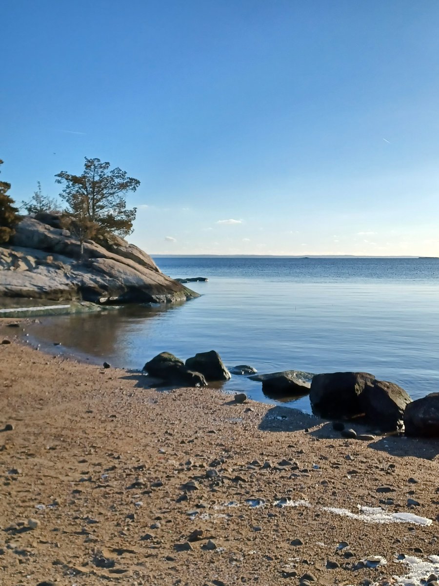 Anna Annette tweet media