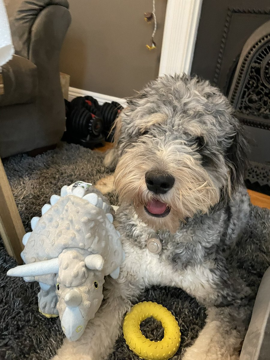 Book Sadprasid tweet media