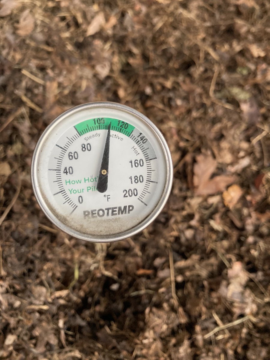 I am #compost slayer. 110 degrees in mid Feb. I am going to have some sweet gold by June. #gardening