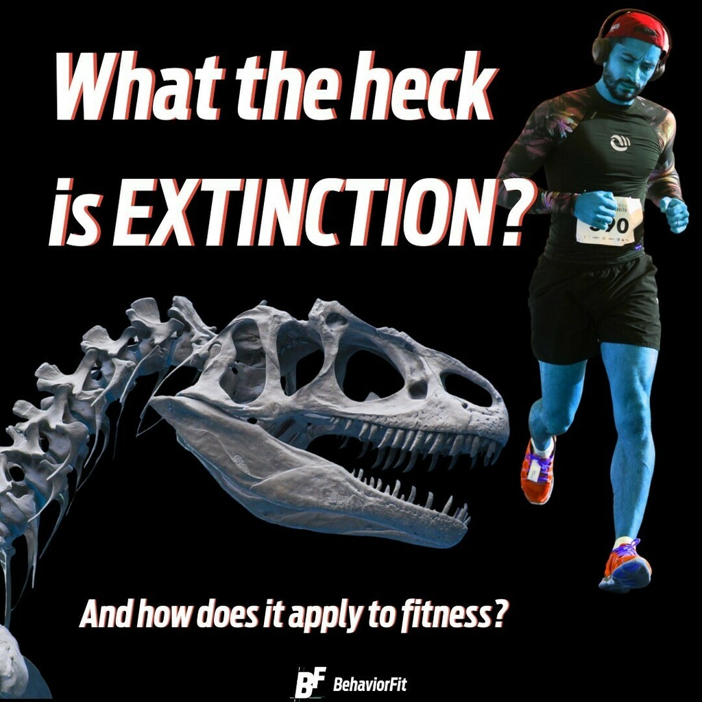 BehaviorFit's tweet image. Heard of EXTINCTION? It&apos;s a beautiful BEHAVIORAL principle that can create a lot of positive FITNESS change in your LIFE when leverage the correct way.
.......
Here&apos;s how it works.
.......
Anything gone extinct recently? Need a behavioral resurrection?!?!
.....
#appliedbehav…