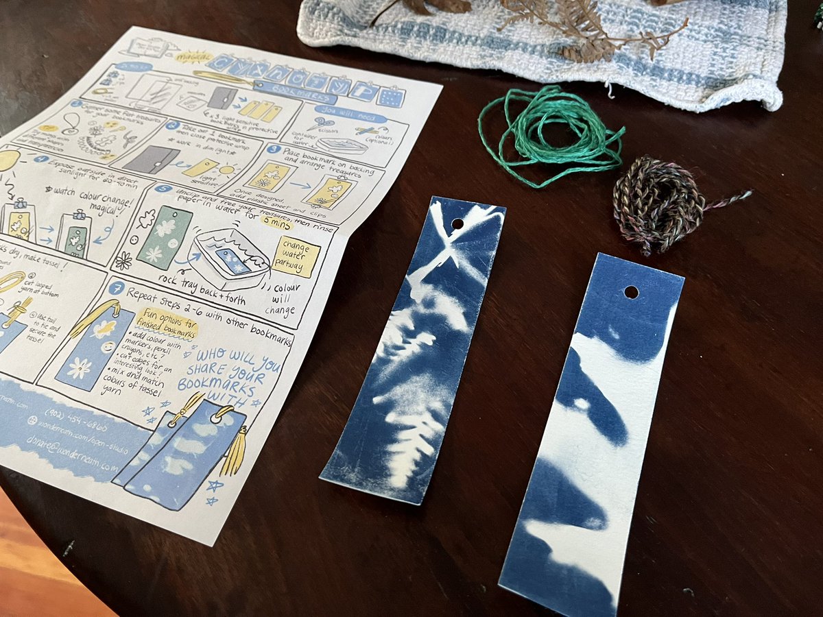 BikeMayorHfx's tweet photo. Made the most of the springlike weather today! Trail ride, @DeeDeesIceCream, a thorough bike wash & finally enough sun to do a fun cyanotype kit from @wonderneath1 using leaves from the trail.
Almost enough to distract from all the honking & sirens.
#WinterBikeWeek @IBIKEHFX https://t.co/bn5oAVsFXQ
