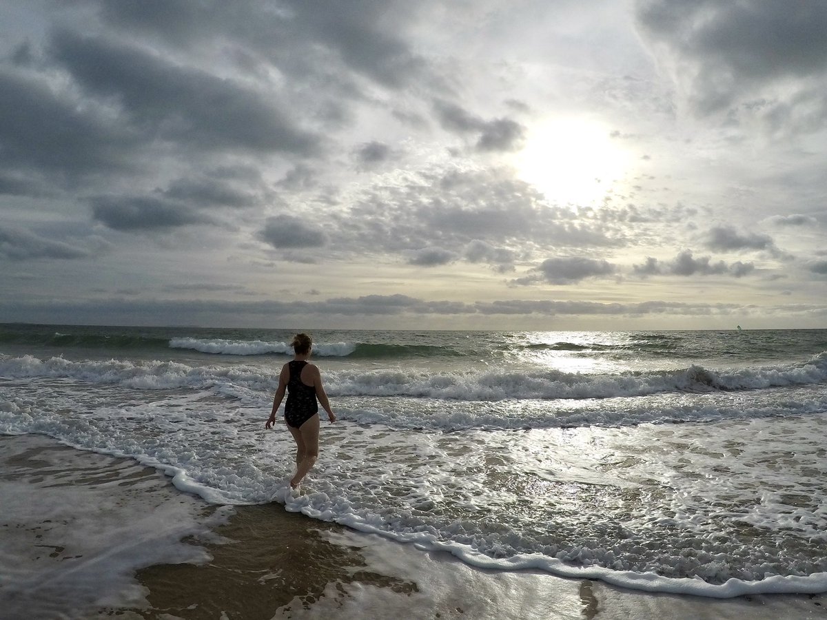 Dip Advisor tweet media