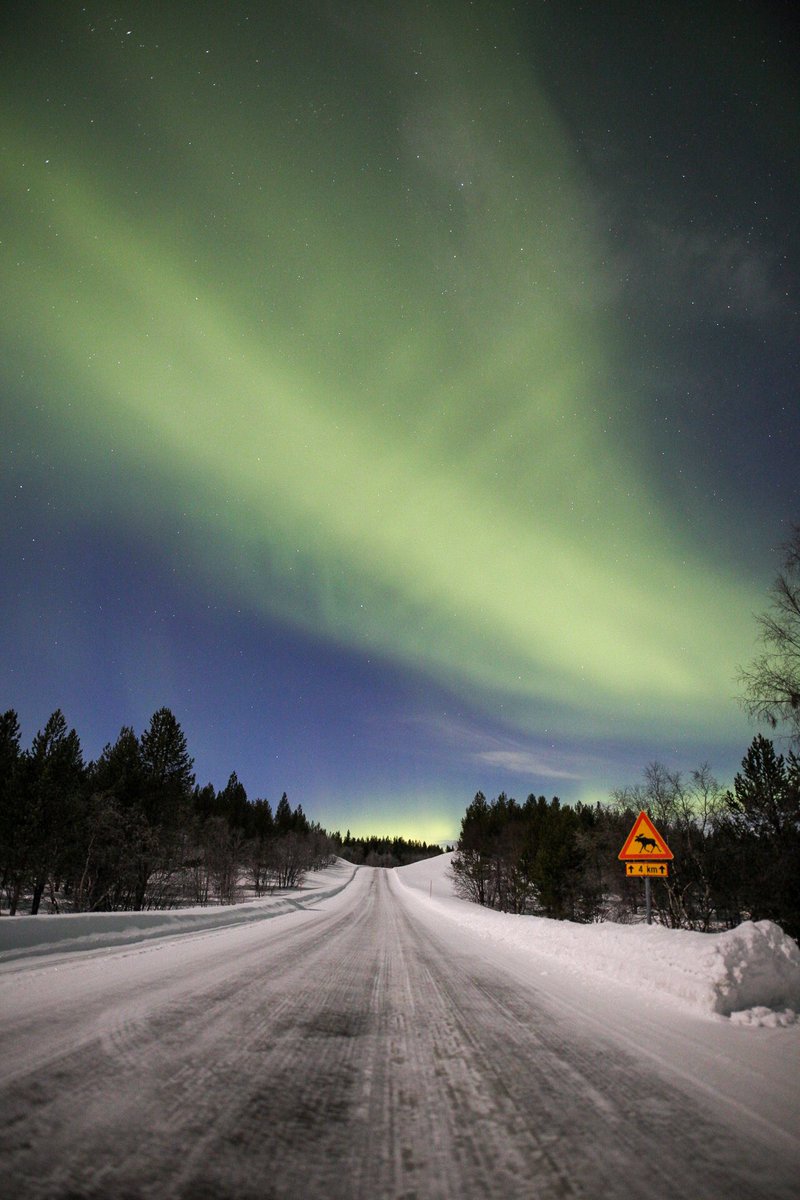 Clear skies and Northern Lights here in Utsjoki tonight 🌙✨🌌

The lights started dancing just as soon as it was dark enough this afternoon and they are still visible in the sky now 💛 #northernlights #utsjoki #lapland