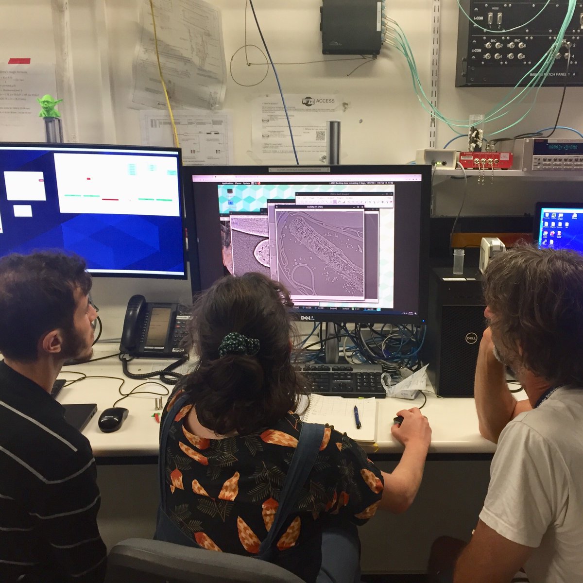 Beatrice Harrison Day tweet media