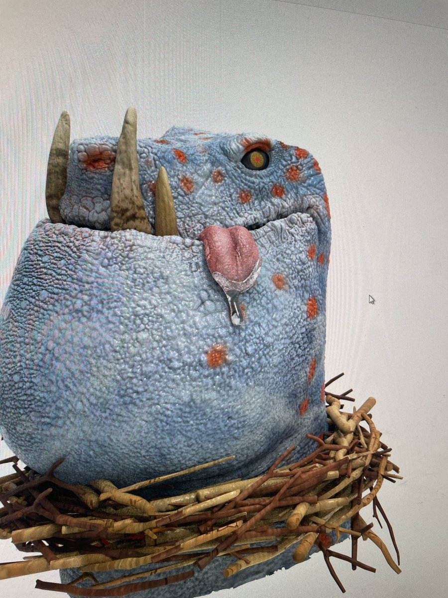 Dinodawg Kingdom tweet media