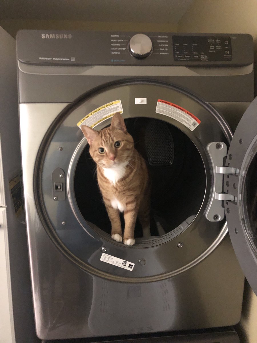 eturp41's tweet photo. Because ⁦@SamsungCanada⁩ we don’t have enough #cats hair on our clothes anyway. ⁦@HawksleyWorkman⁩ ⁦@kturp41⁩ https://t.co/RyObvZs58n