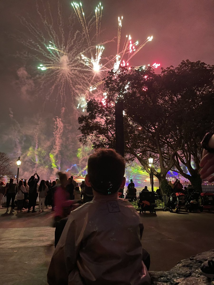 Megan_Watson55's tweet photo. We took a trip last weekend to celebrate my boy. Henry road ALL the big boy roller coasters @WaltDisneyWorld and he can rock an #EARidescent jacket like a boss. He truly is a blessing and getting to watch him grow is my greatest honor. #DisneyWorld #disneyaddict #boymom @Disney https://t.co/JI9GYsCWjs