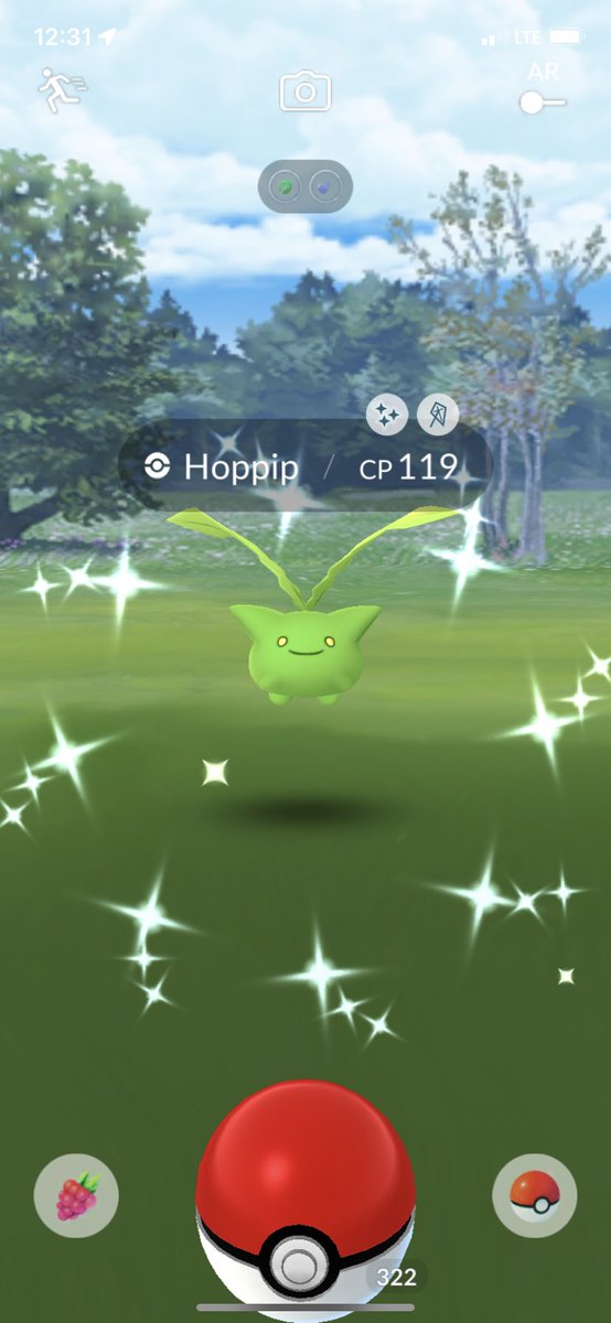 DonP0GO's tweet photo. I hope everyone had a good #CommunityDay today! I love the shiny Hoppip family! I also managed to get a hundo which I evolved right away 😂 #PokemonGO #Hoppip #HoppipCommunityDay https://t.co/XtF4rpKLw7