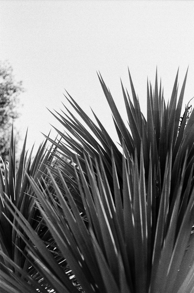 Film I shot in CA last summer