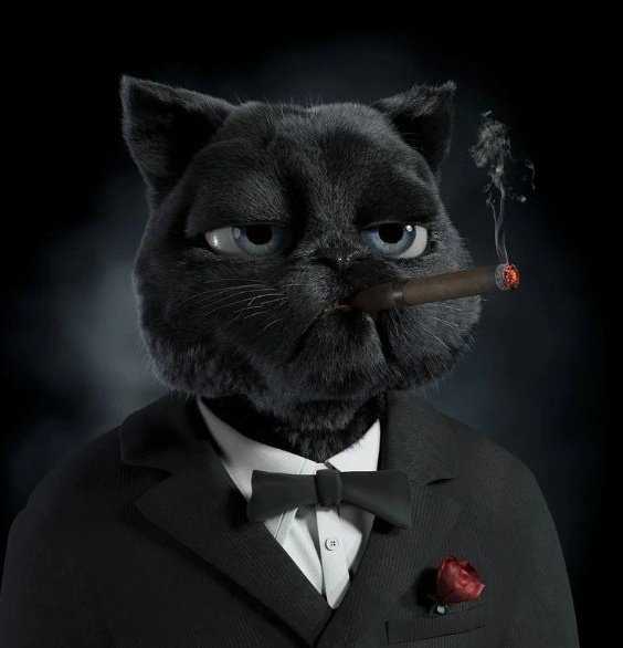 Free #NFT giveaway 🛍

Drop your $ETH address, RT &amp; Follow 
Only for the first 350Rt

#NFTCommunity #NFTGiveaway #NFTs #NFTCollection #nftcollector #NFTdrop