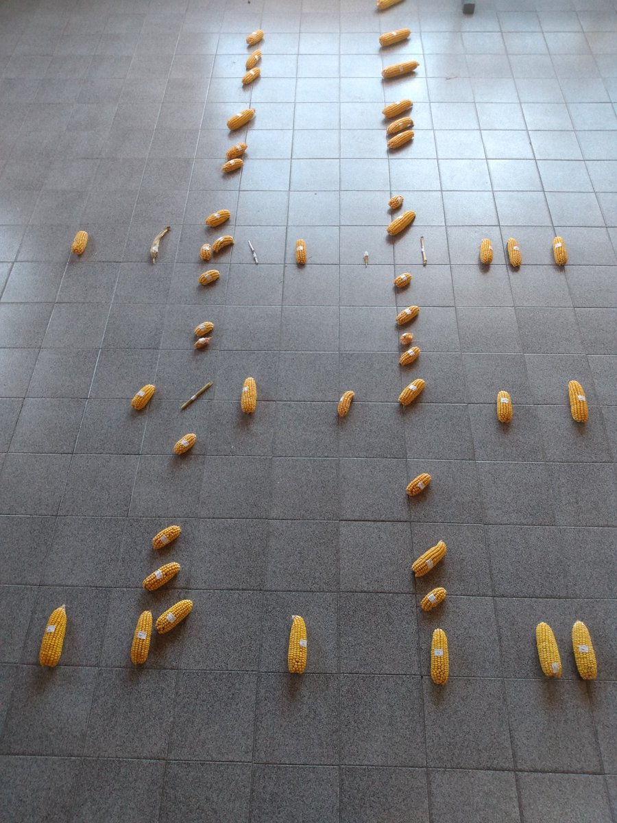 <a href="/elchamaco_1/">Chamaco 🇦🇷</a> <a href="/DresMarra/">Dres Marra</a> Así es como se ve una superposición con años limitados en condiciones