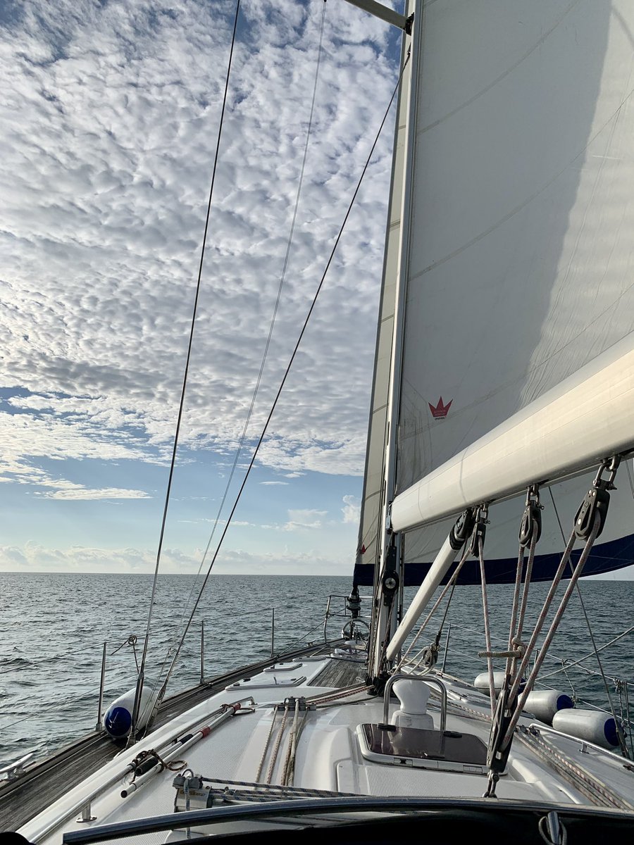 Yesica Schaaf tweet media