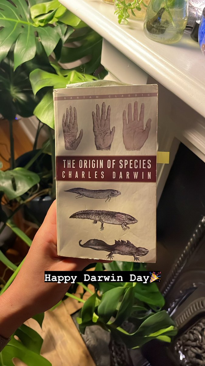 Book Sadprasid tweet media