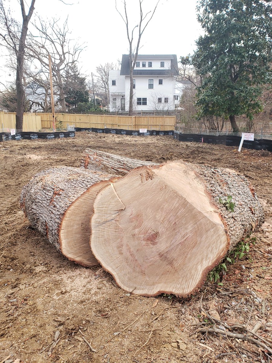 Arlingtonians for Our Sustainable Future tweet media