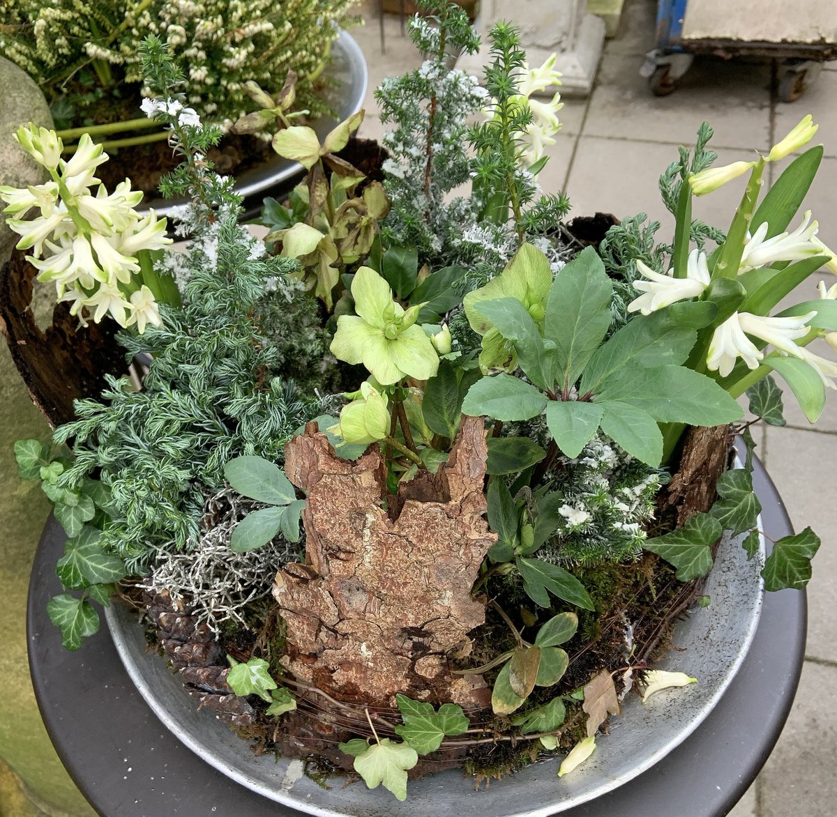 💐🍸🍷🎶🌈🌅#hamburg today🌳🌱🥀🌿🌾🌼🌙#GoodEvening Friends!🎨❤☮peace☮✨love💖✨ No war!🌎🌳🚴‍♀️🏕🌱#COVIDー19 #staysafe