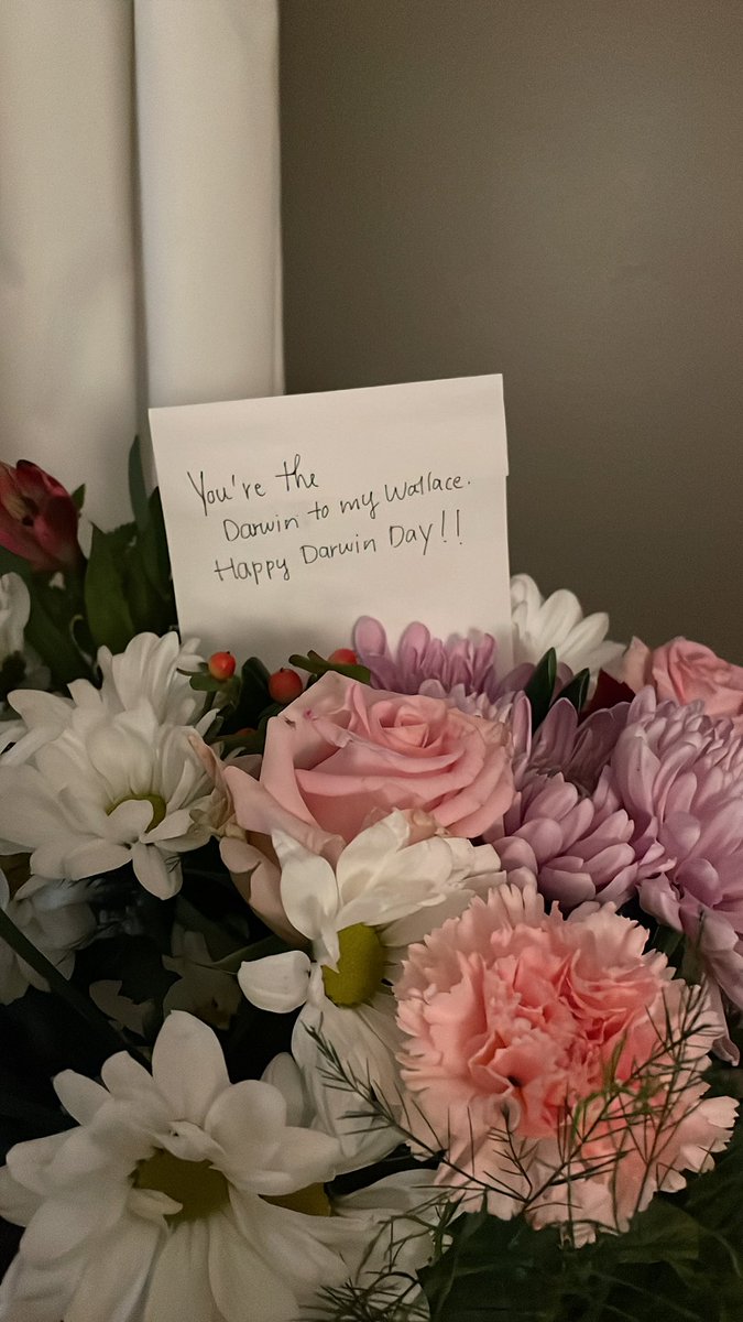 Book Sadprasid tweet media