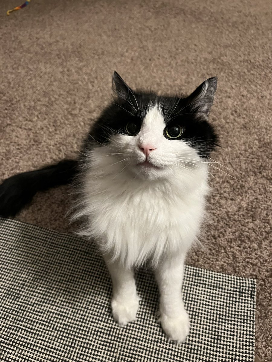 EarthToLilly's tweet image. savage mode activated