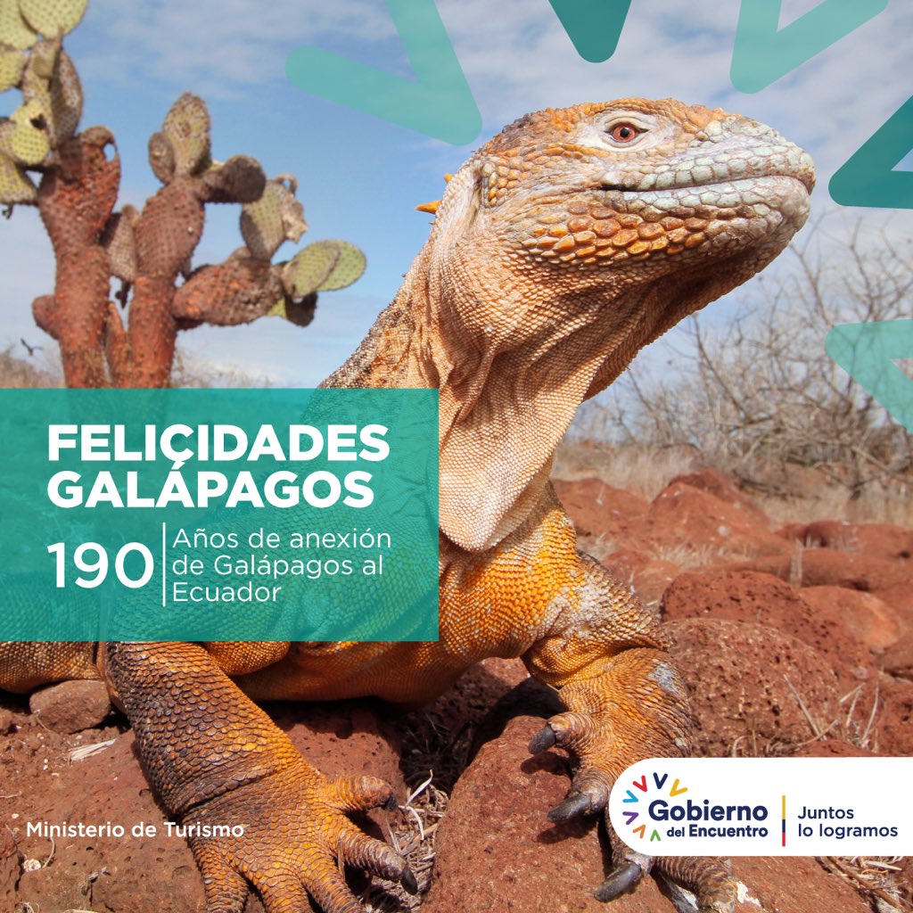 👉 bit.ly/363KNJX
El 12 de febrero de 1832, el primer gobierno del #Ecuador presidido por Juan José Flores, anexo a Las Islas Galápagos como parte del territorio nacional.
Felicidades‼️ Islas Encantadas #Galapagos 🐢 190 años de ser parte de nuestro bello Ecuador 🇪🇨