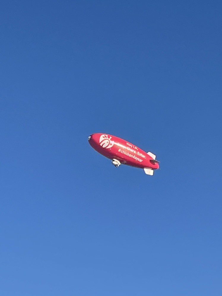 Acorless6's tweet image. #chicken4ayear