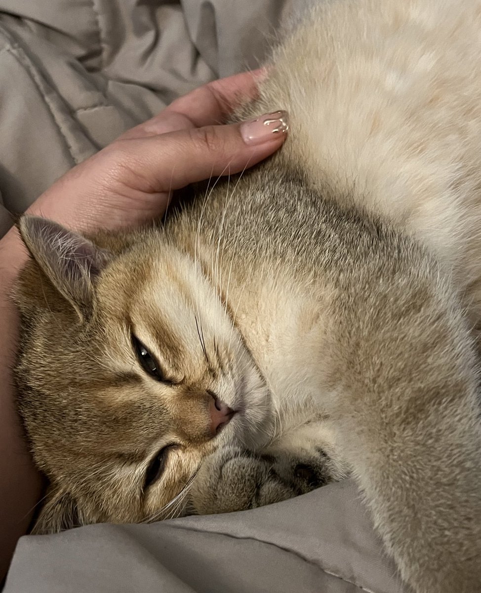 จะทำงานก็ทำไปนะแต่เกาให้พี่ด้วย ห้ามหยุด