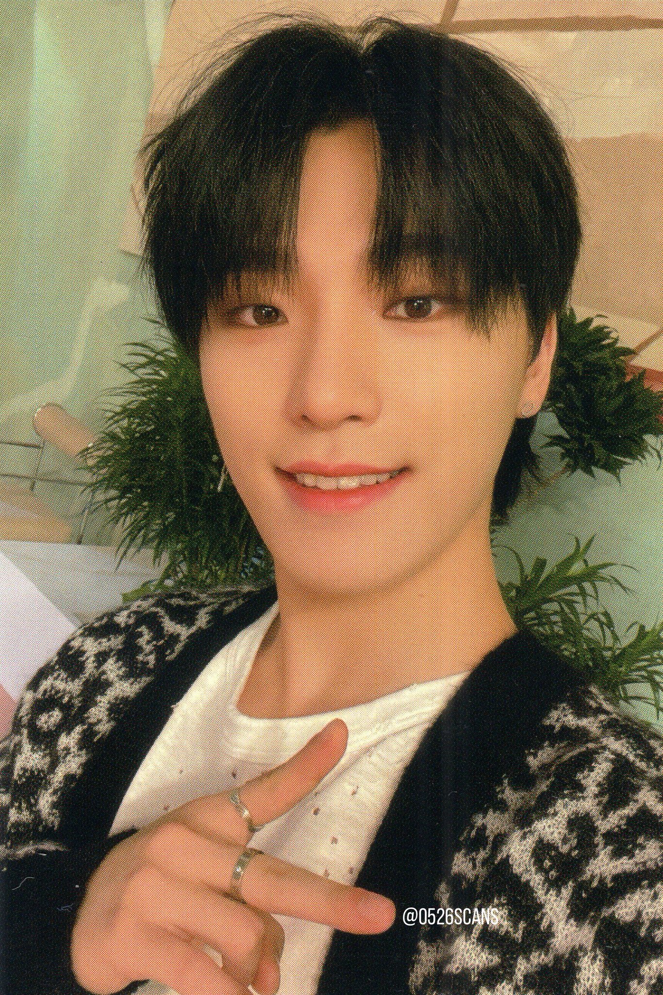 seventeen pc scans on X: 