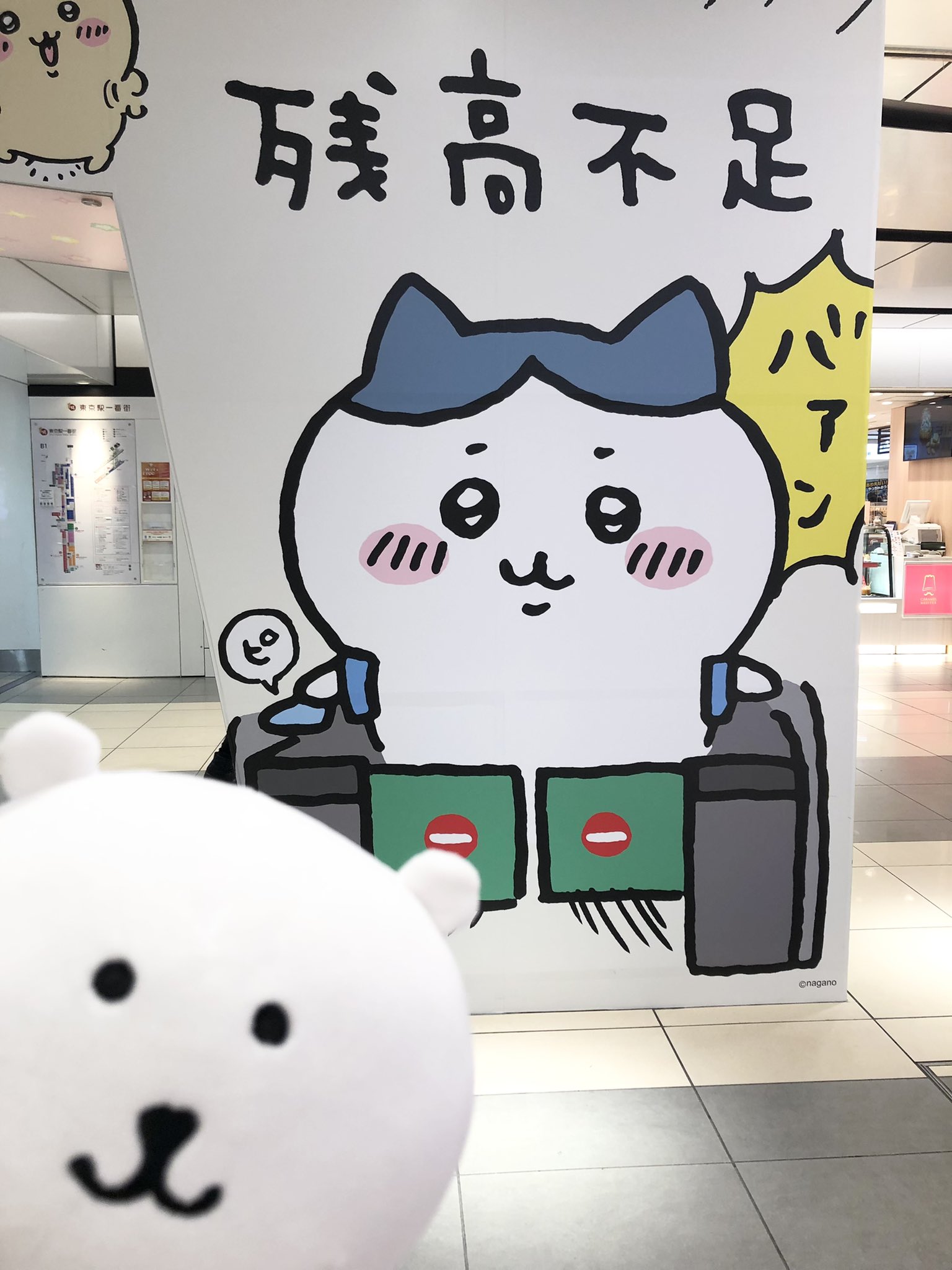 卯月様 専用 | hawi.com.mx