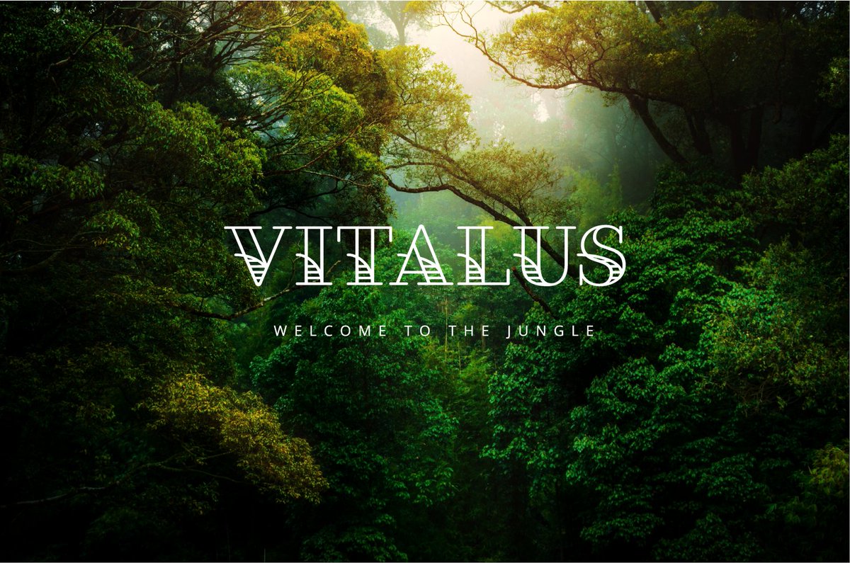 Official Vitalus Neighborhood - Metavillage tweet media