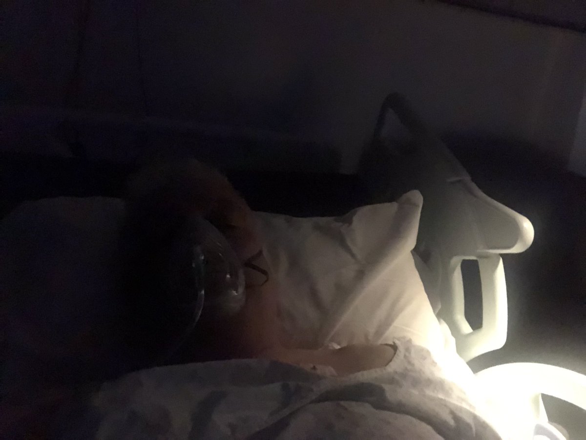 Alex Wilcox tweet media