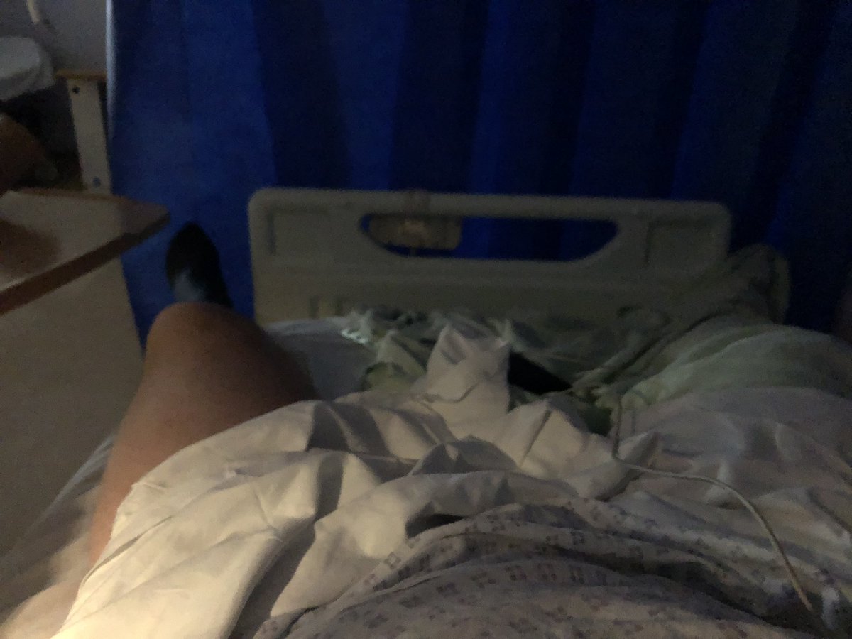 Alex Wilcox tweet media