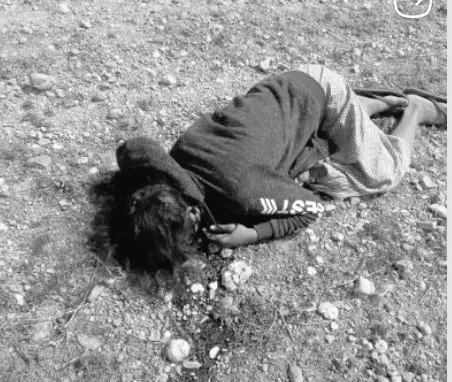 Chanapai247's tweet photo. tw//death
Mg Chan Aye who had a personal dispute with SAC appointed village head was shot dead by #pyusawhtee(s) from DeeDoteKwin village of Pauk tsp in the nighttime of Feb 11. His dead body expressed he was forced to kneel down and shot at buccal cavity to death.
#2022Feb13Coup https://t.co/t2SBqyI63B