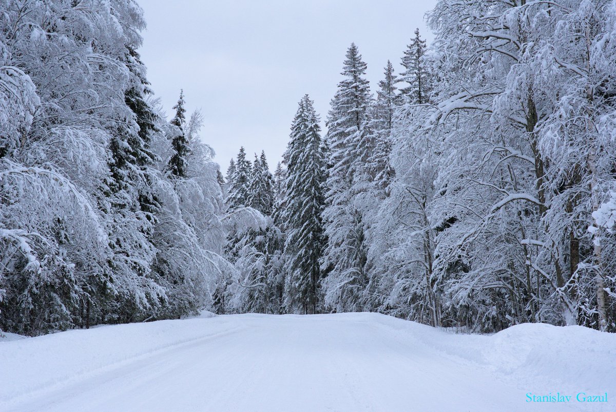 stanislav_gazul's tweet photo. Winter Wonderland.
08.02.2022
#talvi #talvenihmemaa #Venäjä #LeningradinAlue #Viipuri #winter #winterwonderland #Russia #LeningradRegion #Vyborg #зима #зимняясказка #Россия #ЛенинградскаяОбласть #Выборг https://t.co/9dtaFoj4CE