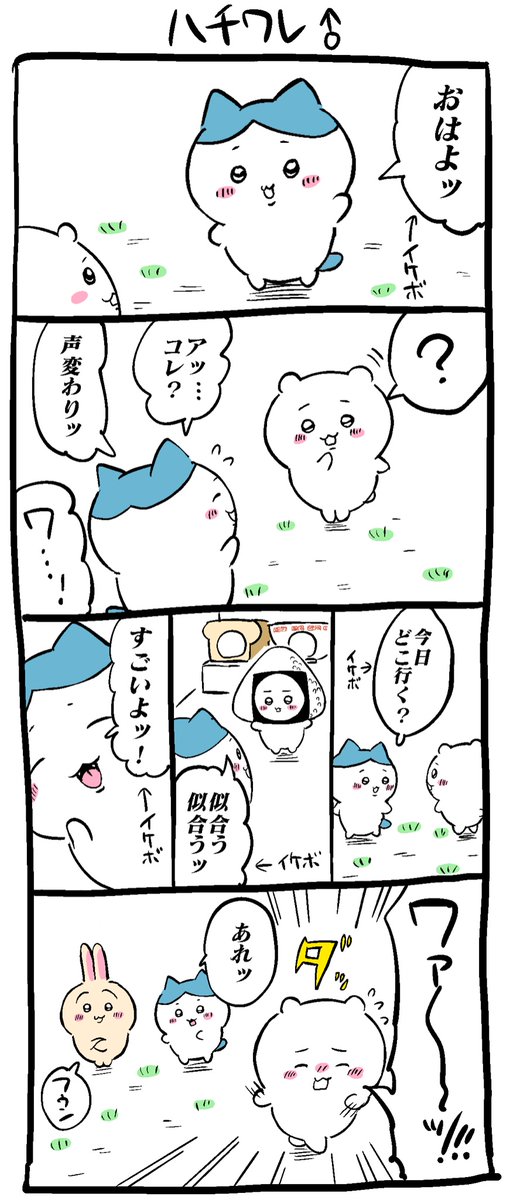 ハチワレ♂の漫画 