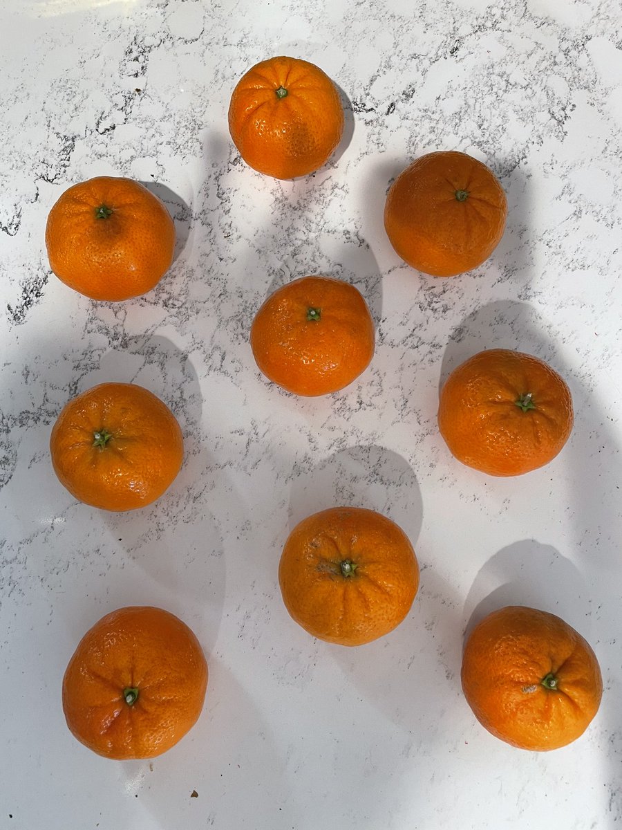 mskburke2021's tweet photo. Visual Number Talk time! With Valentine’s Day on Monday, let’s go and count some Cuties! 🍊How many 🍊are there? How do you know? A great elementary number talk to promote math strategy development using familiar objects! #MACI311 #QuickImage @YehCathery https://t.co/lPcEPhpnes
