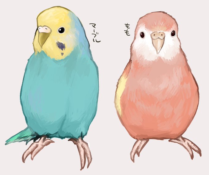 セキセイインコのtwitterイラスト検索結果 古い順