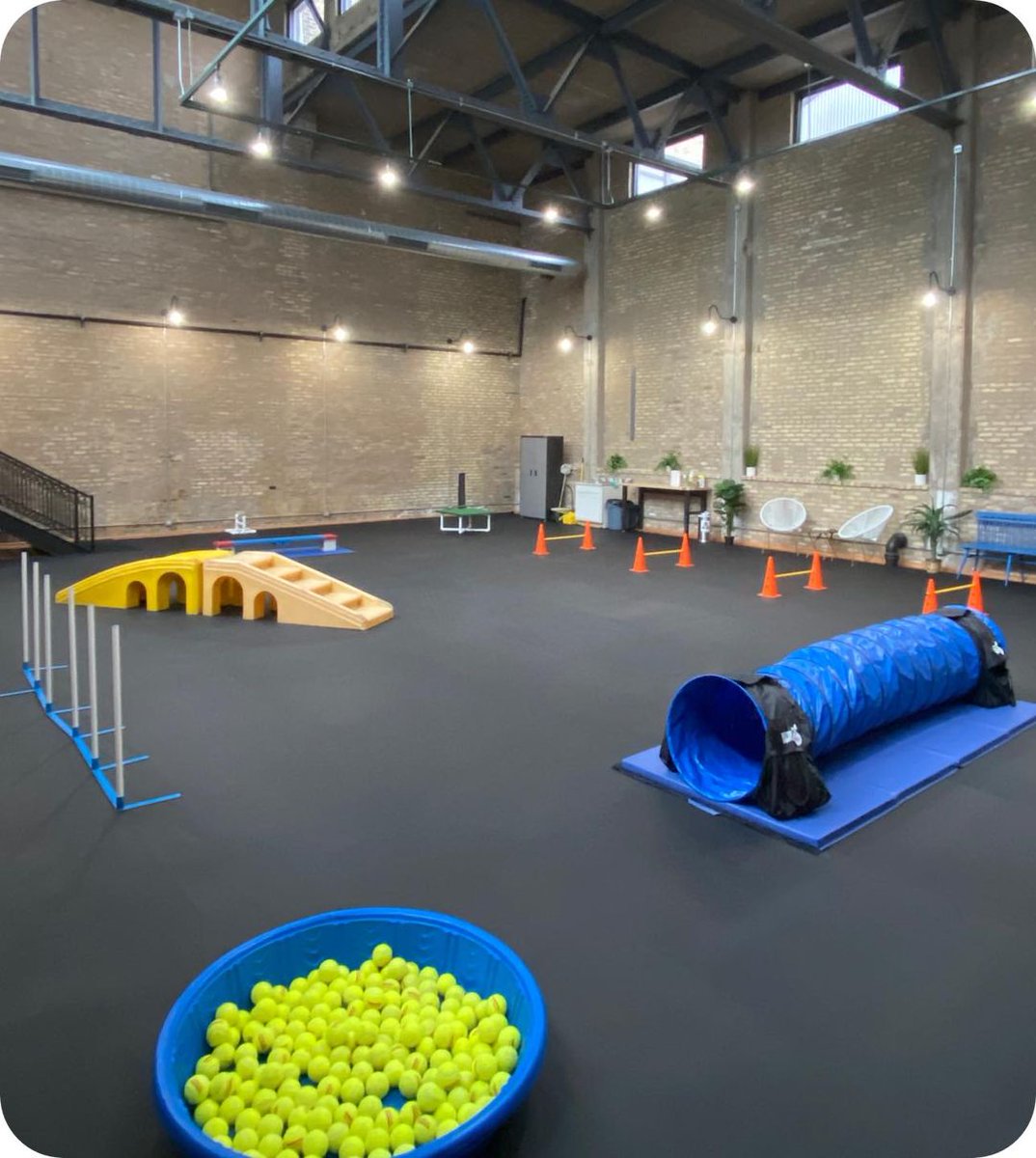 Safe Humane Chicago tweet media