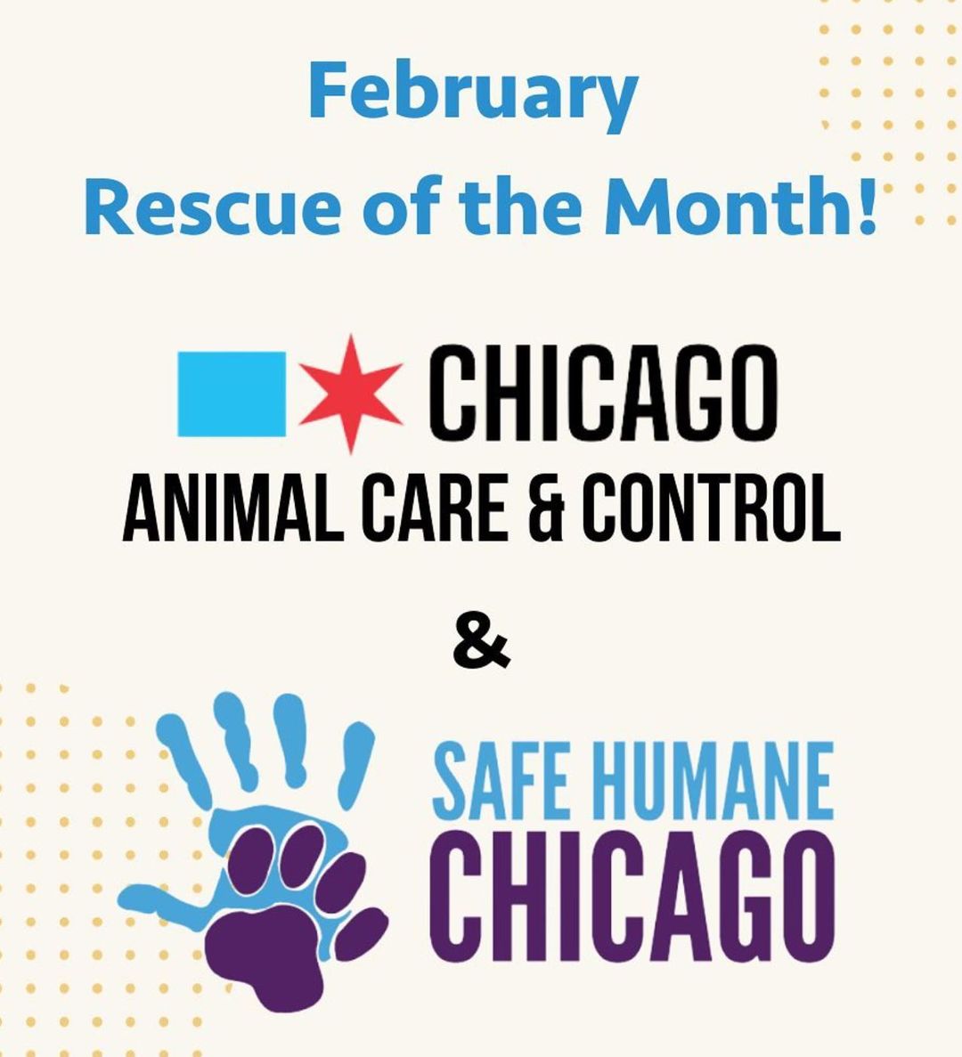 Safe Humane Chicago tweet media