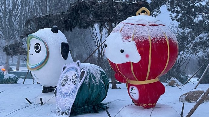 CGTNOfficial's tweet photo. ❄️❄️ Happening now: #Beijing welcomes the first snowfall of the Year of the Tiger. https://t.co/1bYQSdbZAL