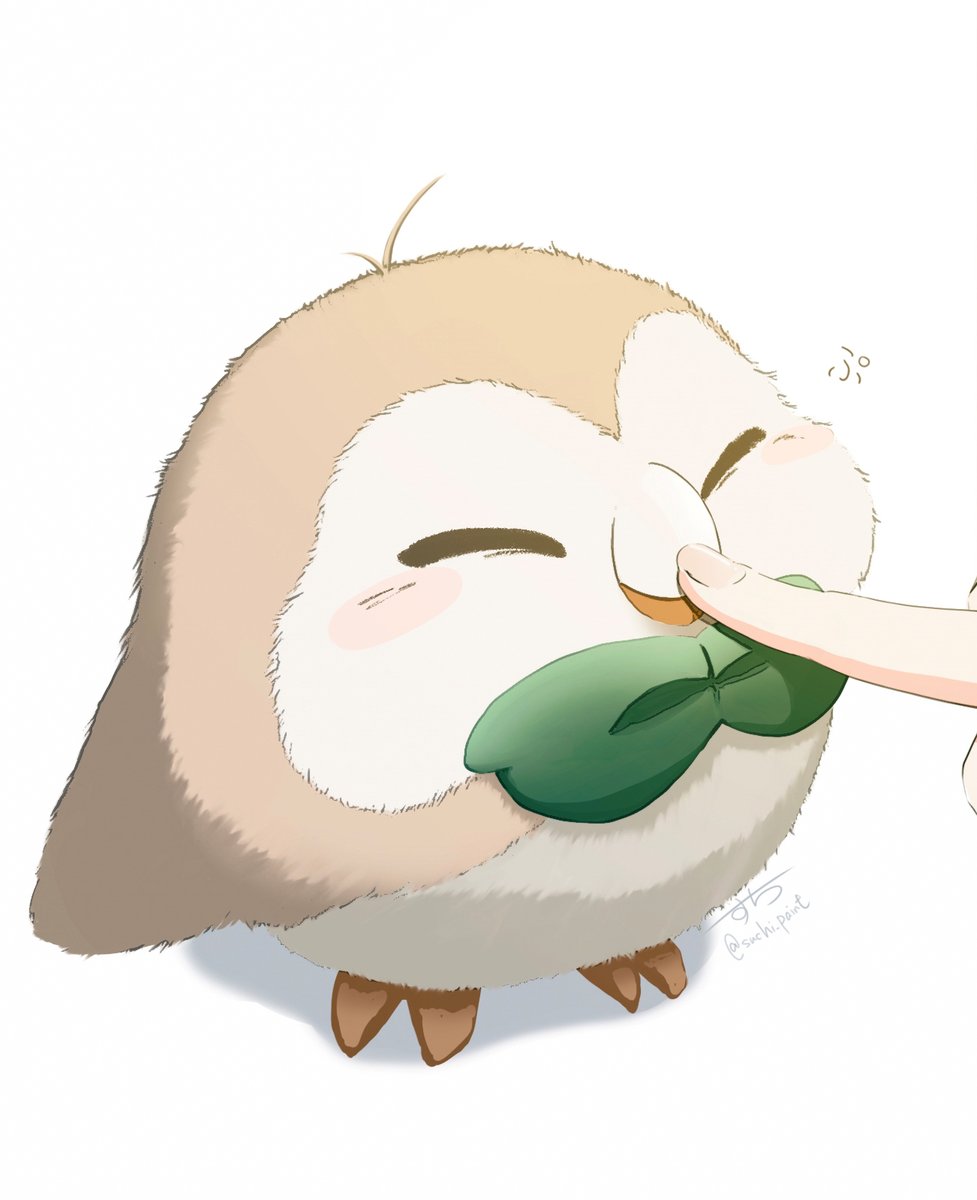 rowlet pokemon (creature) closed eyes poking no humans white background owl bird  illustration images