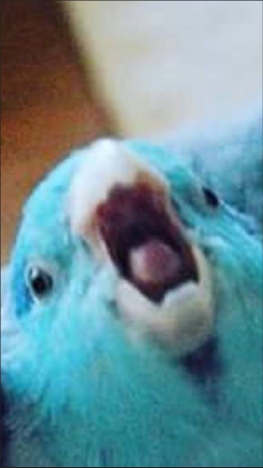 Goobers Of NA tweet media