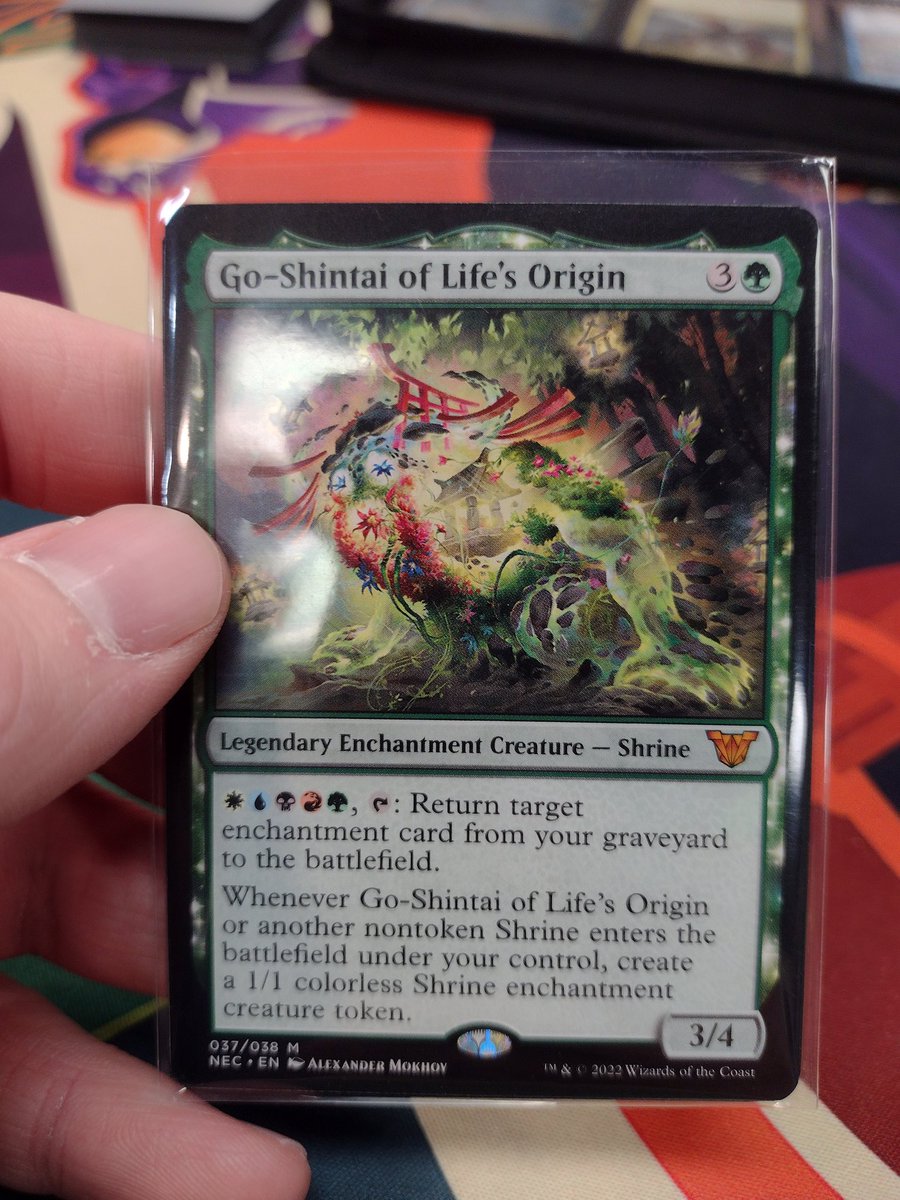 DanielKingMTG's tweet photo. About to become a shrine gamer https://t.co/wdpJfVeqKx