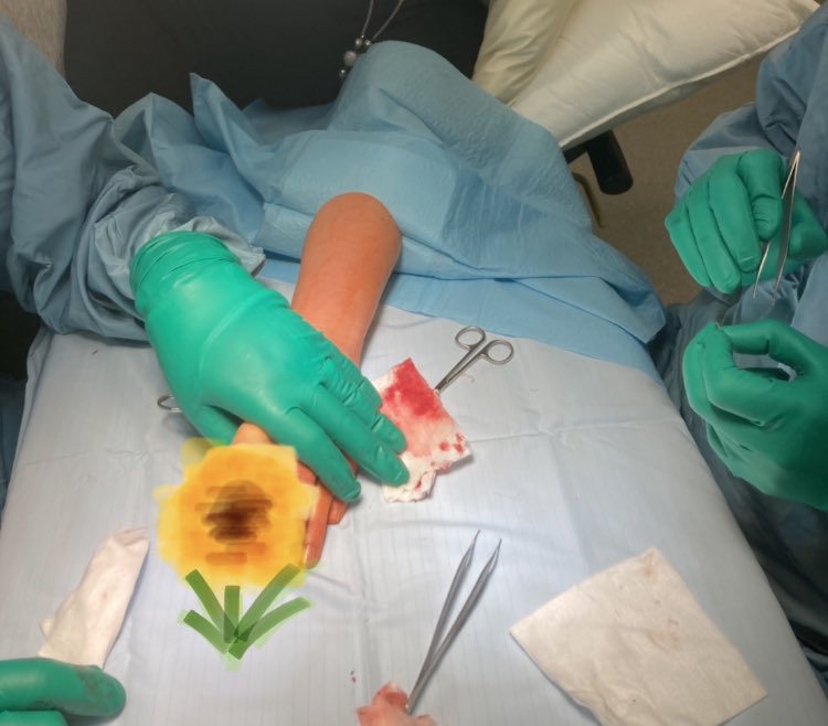 Anna Harding tweet media