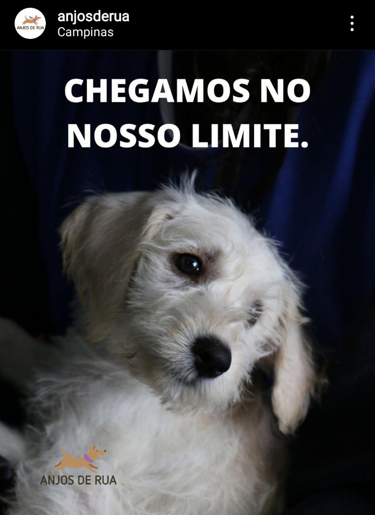 shelley 🇵🇸 tweet media