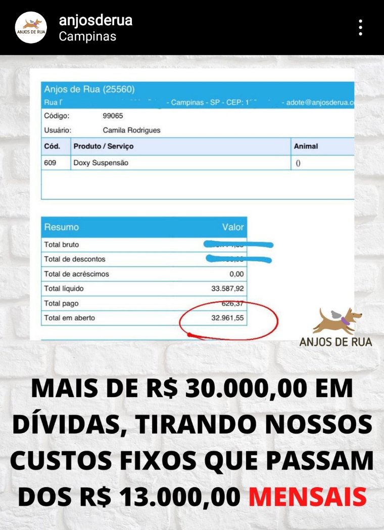 shelley 🇵🇸 tweet media